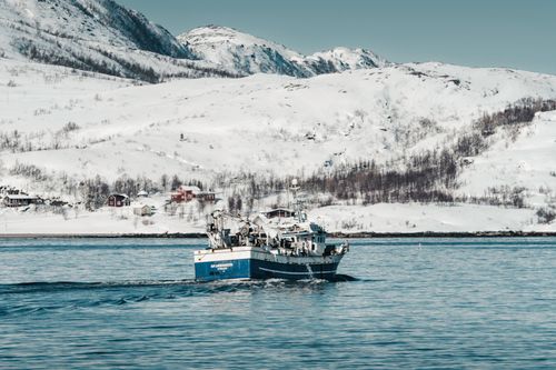 Free A fishing boat sails through a snow-covered fjord in Norway, with scenic mountains and houses. Stock Photo