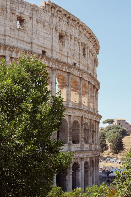 Free View of the iconic Colosseum in Rome, Italy surrounded by lush greenery under a clear sky. Stock Photo