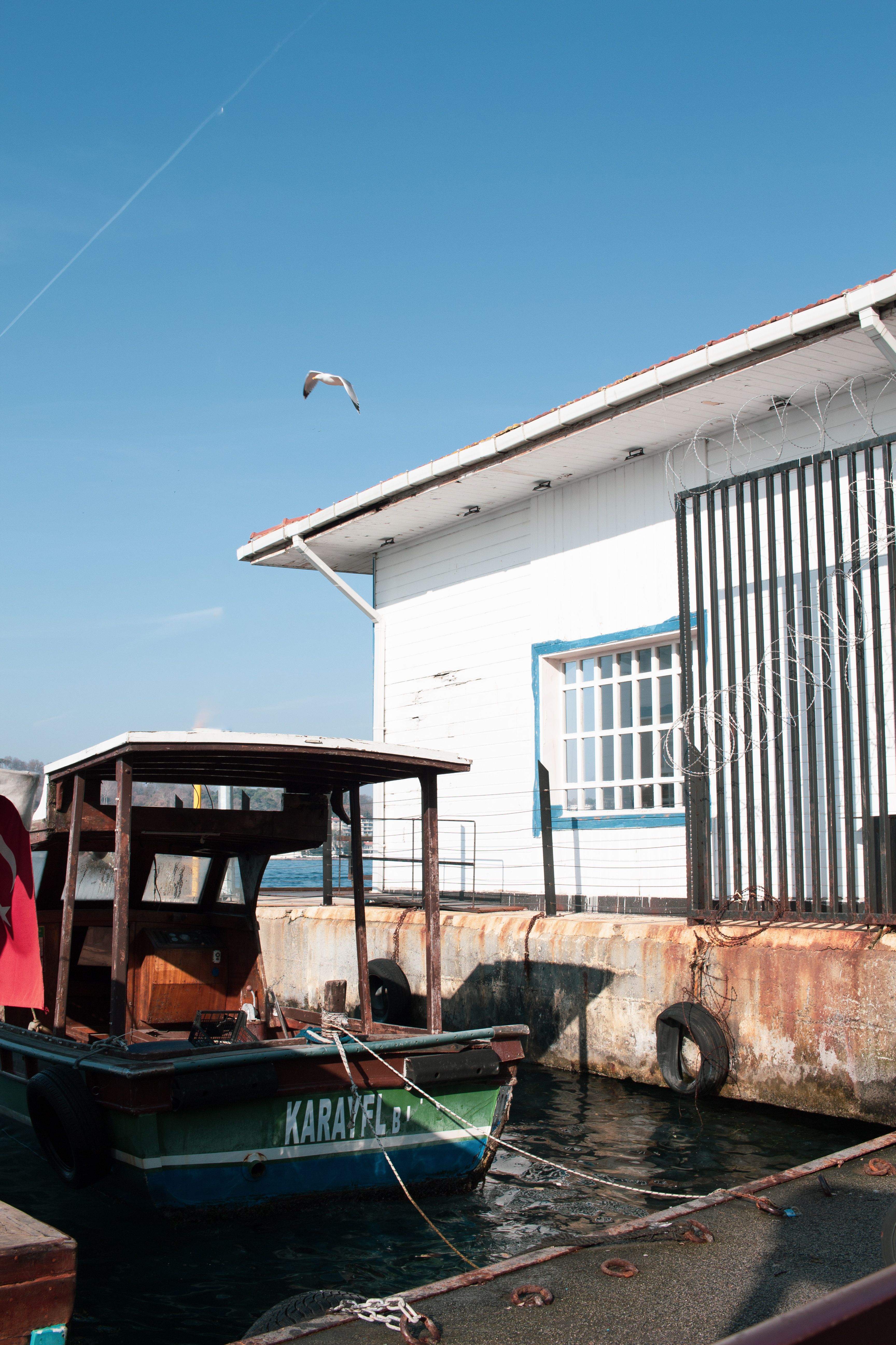A small boat is docked beside a rustic warehouse with a seagull flying overhead on a sunny day.