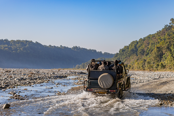 Jim Corbett Safari