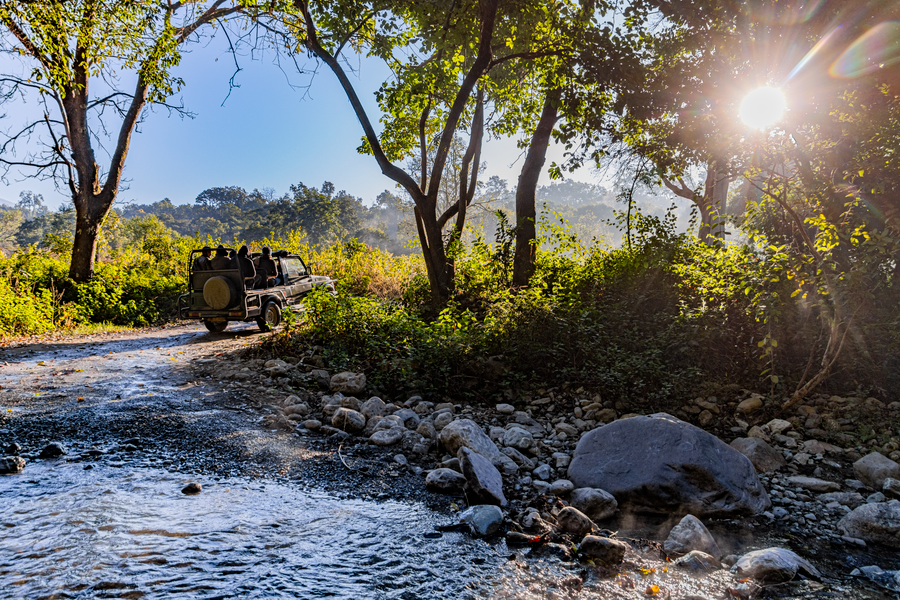 Jim Corbett National Park photo 6