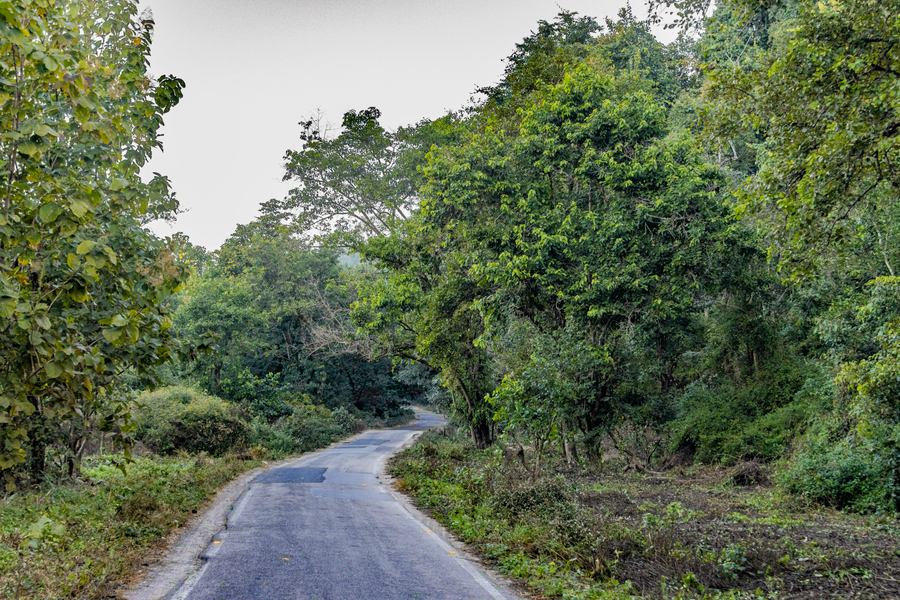 Jim Corbett National Park photo 3