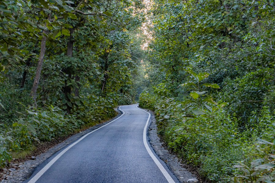 Jim Corbett National Park photo 4