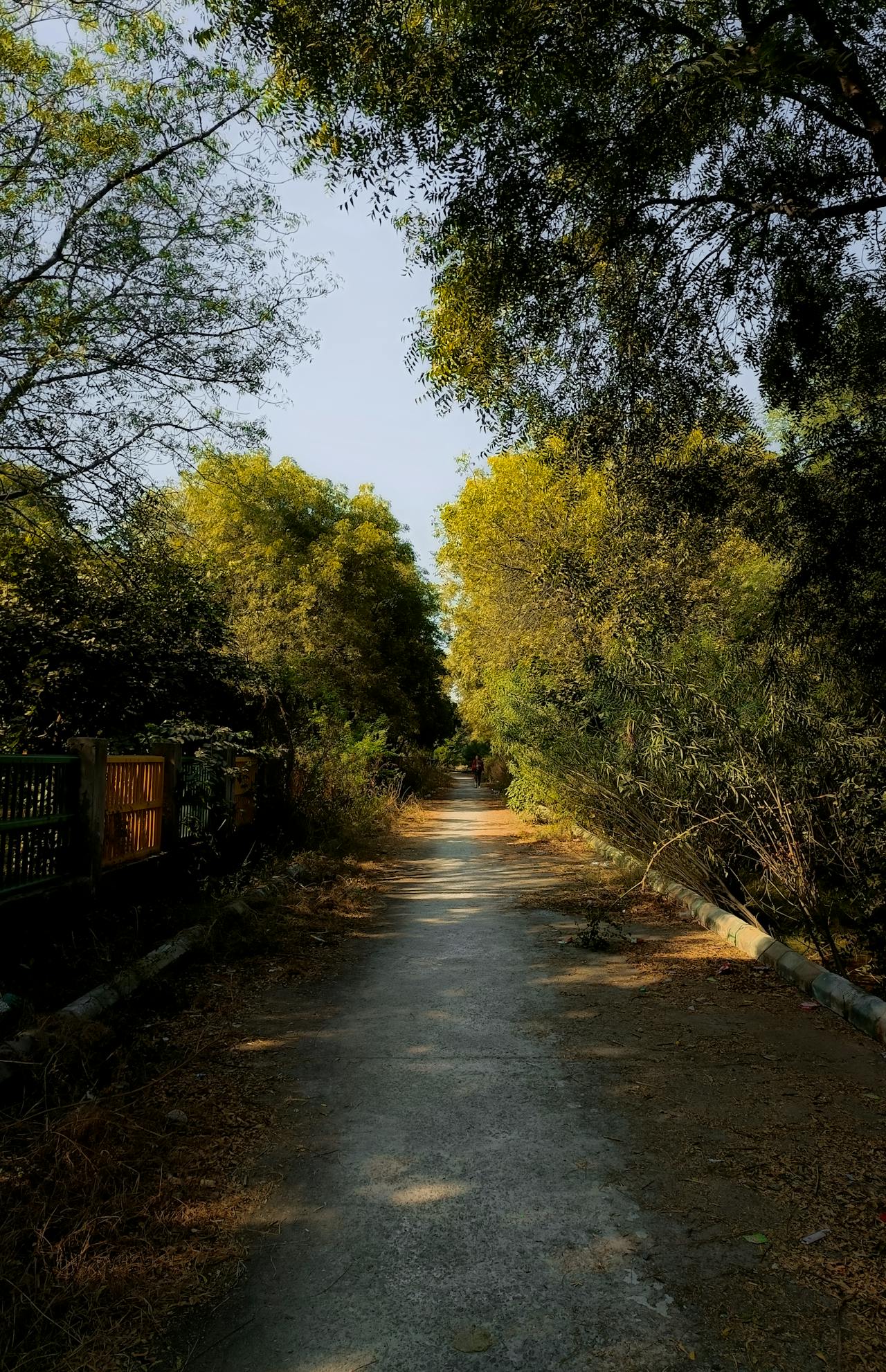 Người Maya suy tàn vì khao khát thủy ngân