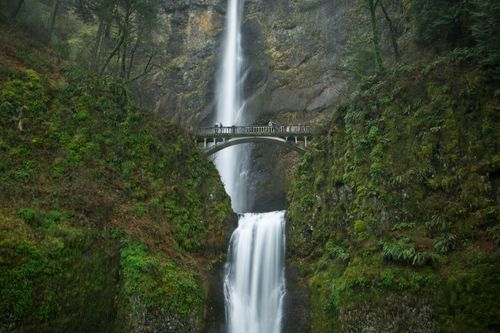 Free A breathtaking image of Multnomah Falls with a scenic bridge surrounded by lush greenery. Stock Photo