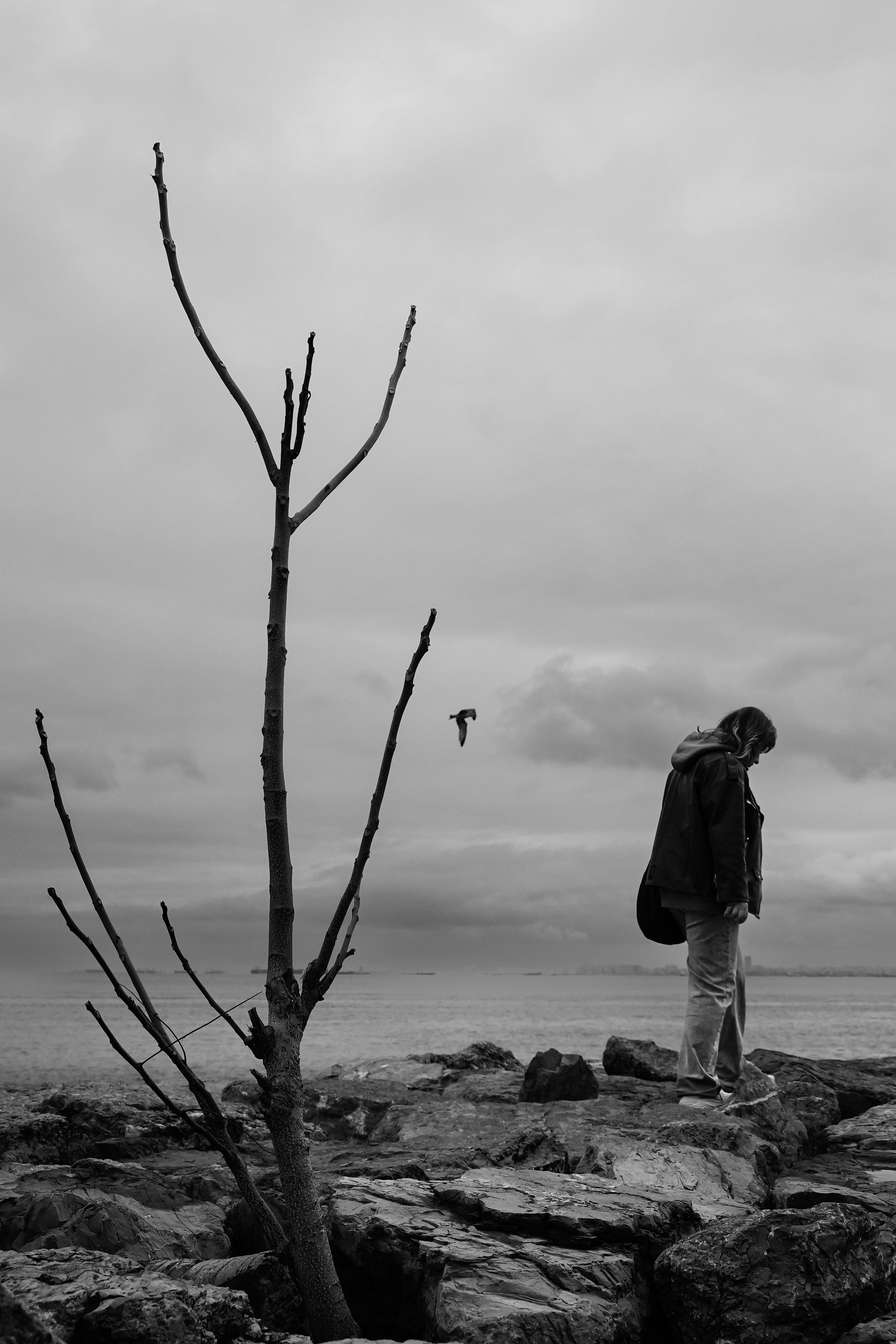 lonely figure on istanbul s rocky shoreline