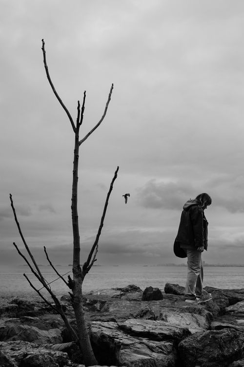 Free A solitary figure stands on a rocky shore in Istanbul, evoking a sense of solitude. Stock Photo