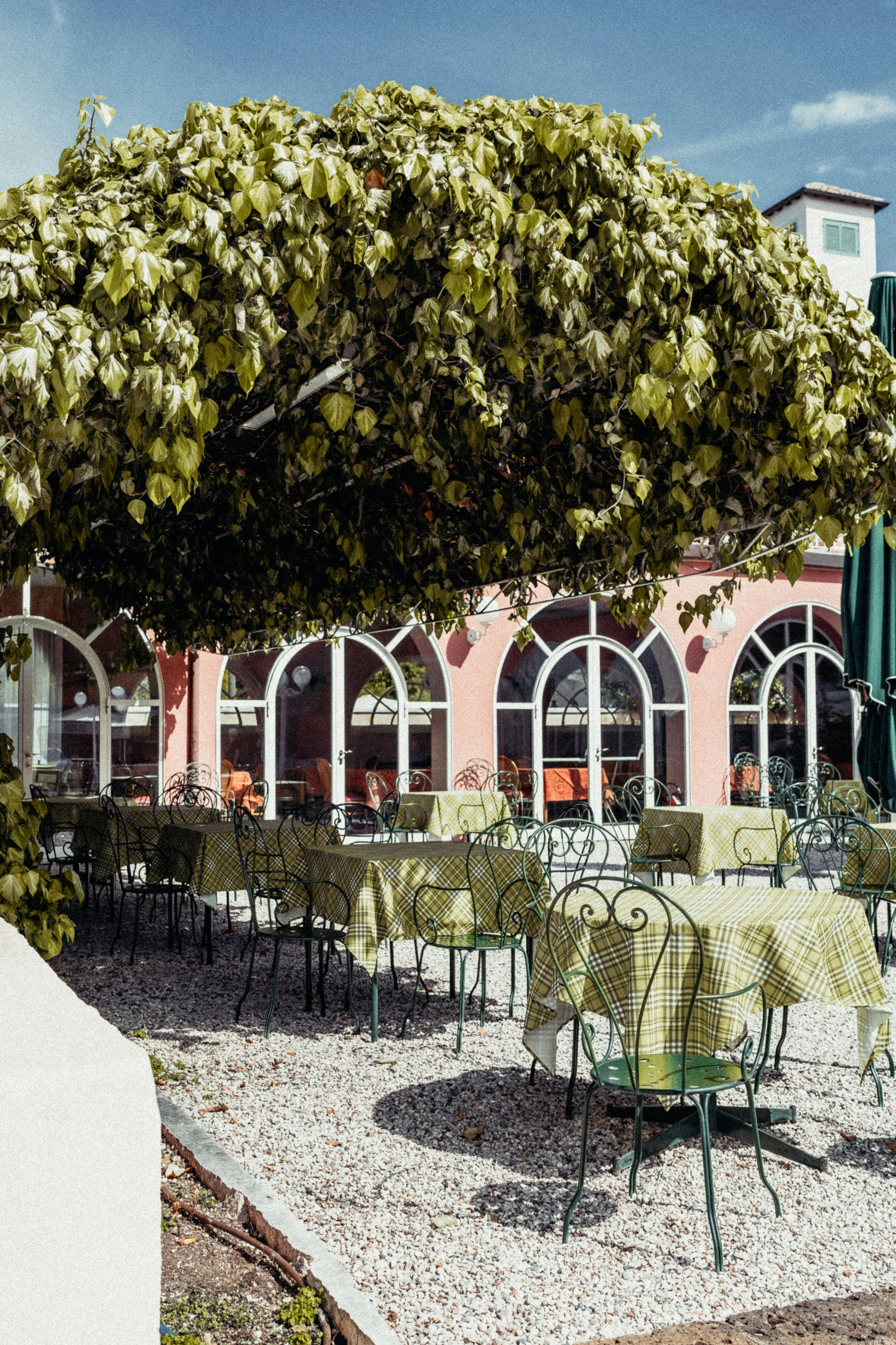 Outdoor cafe with leafy canopy and vintage furniture, perfect for relaxing.