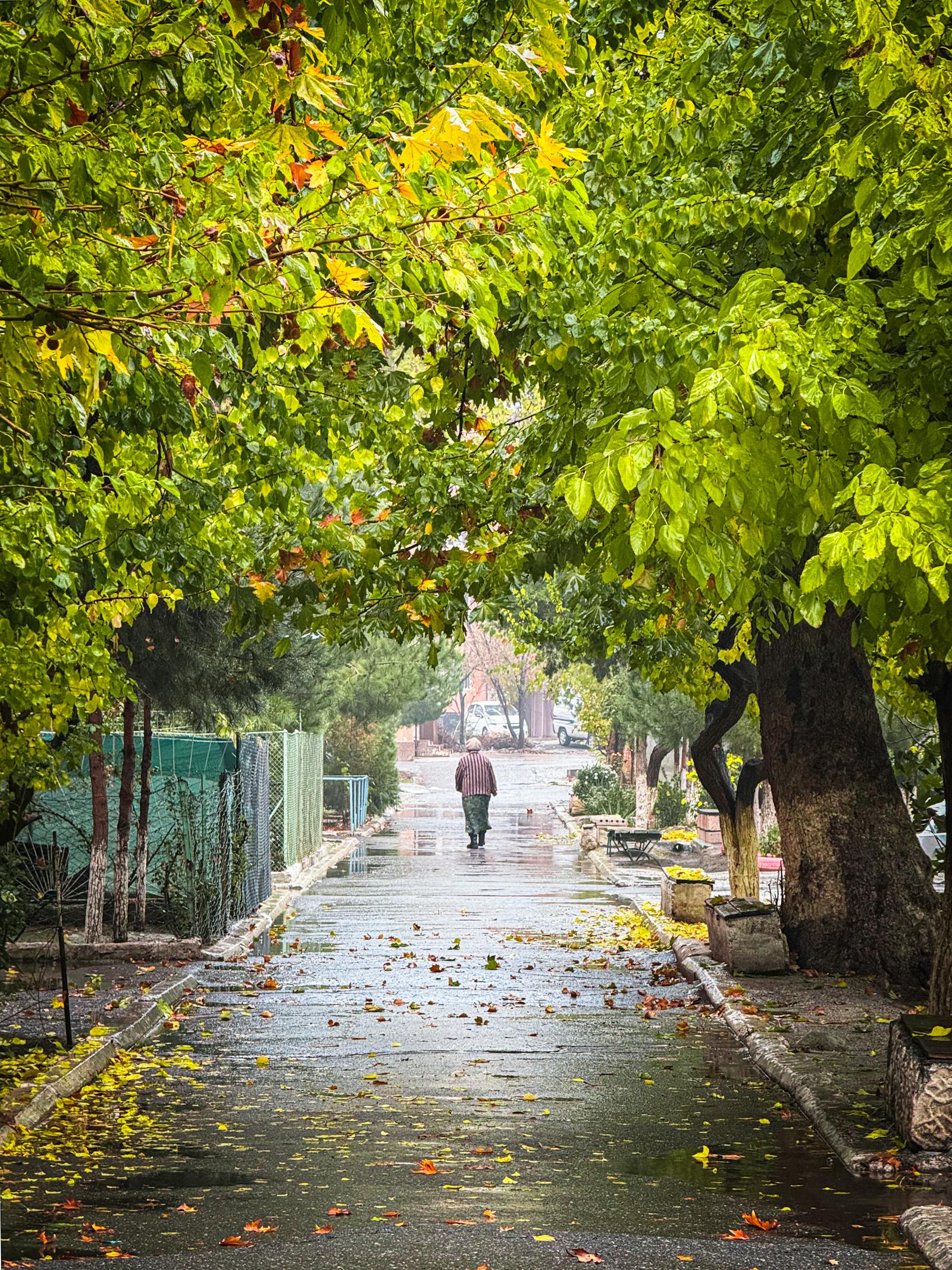 Sophie Rain Photos, Download The BEST Free Sophie Rain Stock Photos