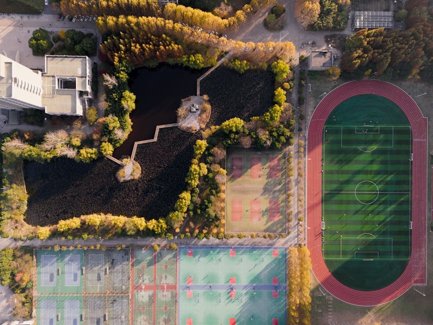 Lisson Gallery Announces Global Autumn Programming Including Major Institutional Shows for Abramović and Akomfrah