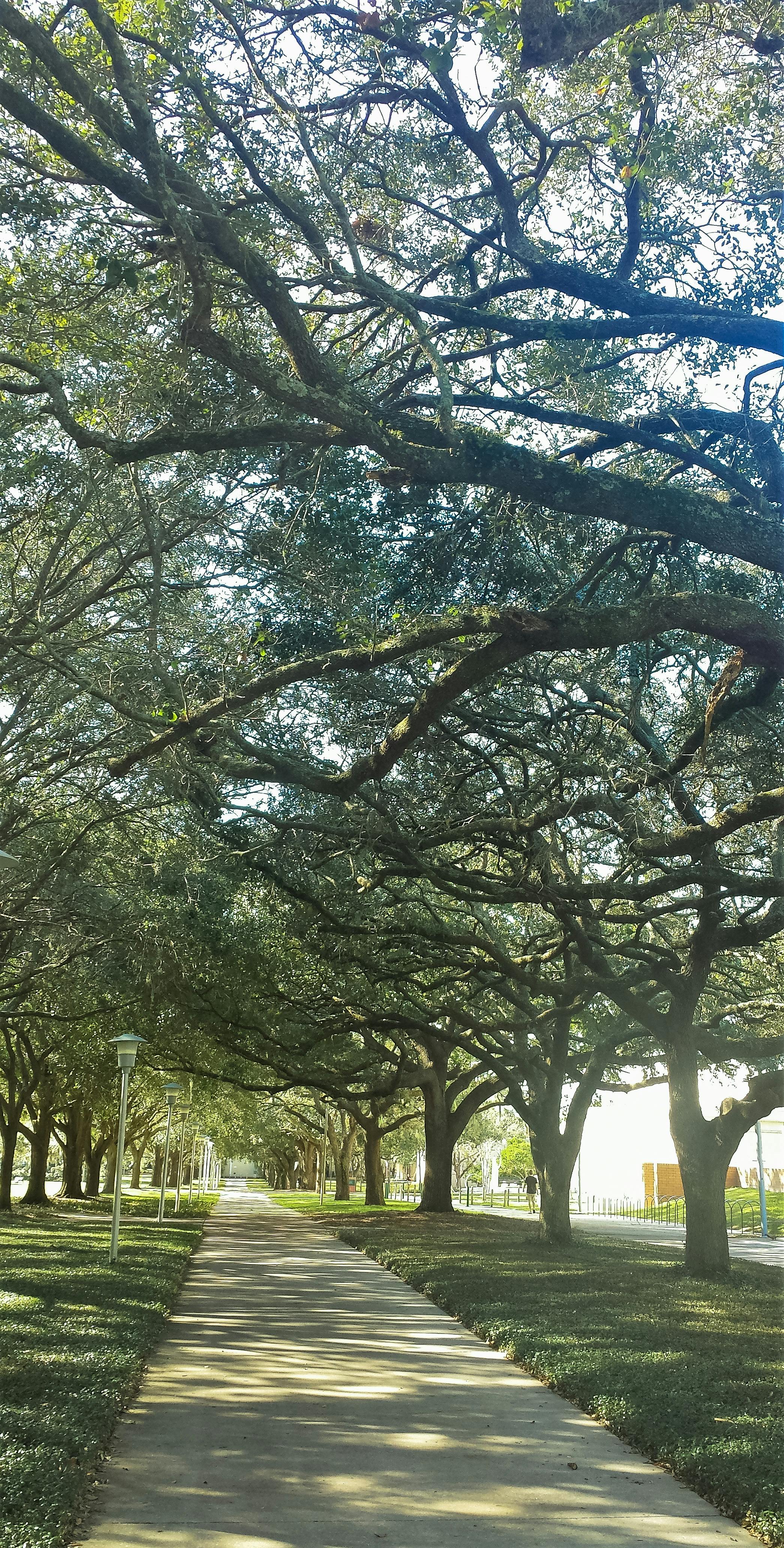 Children Playing Board Game