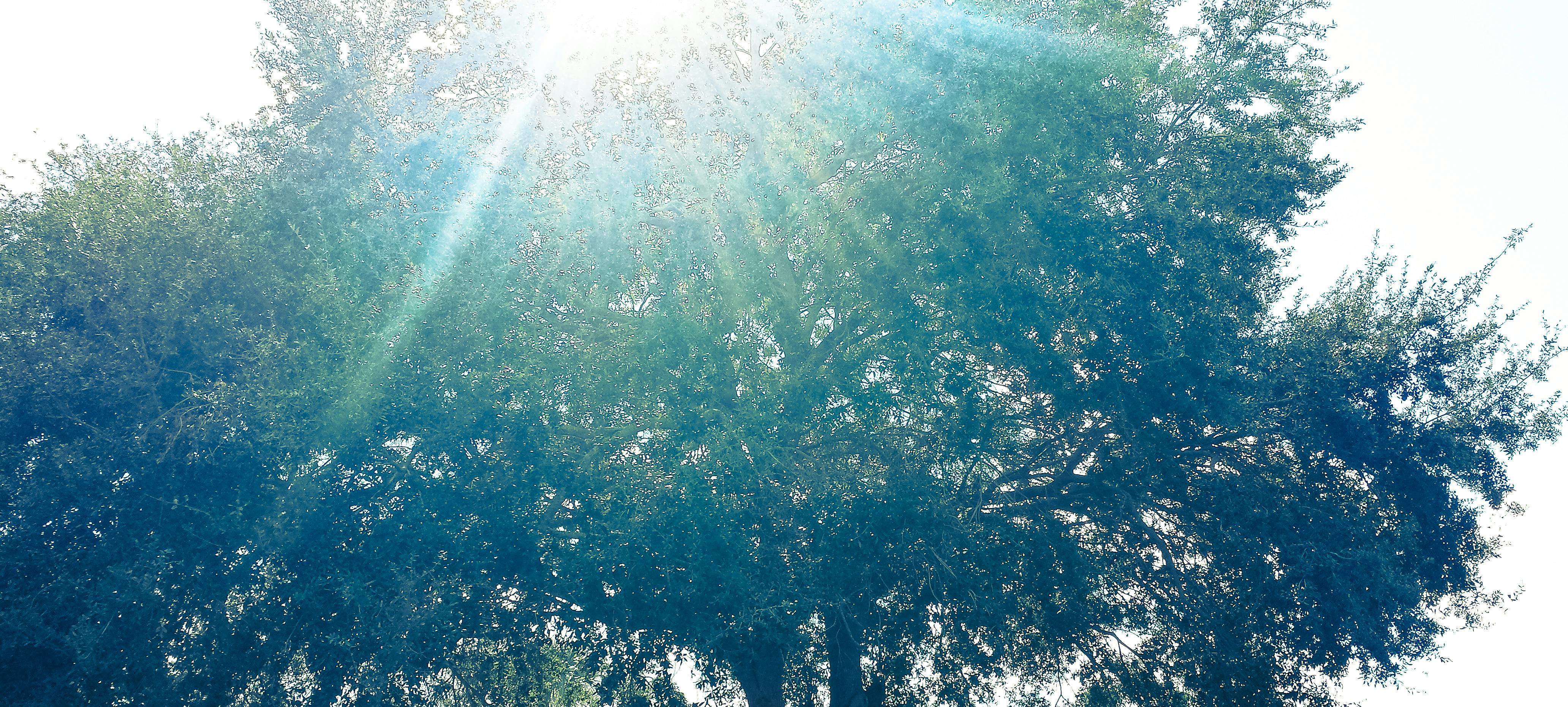 Sân bay vắng vẻ