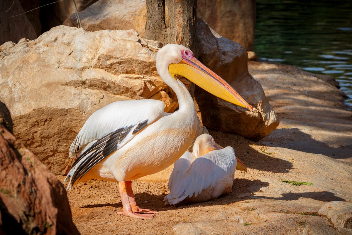 Family+Creepshots+Ass Photos, Download The BEST Free Family+Creepshots