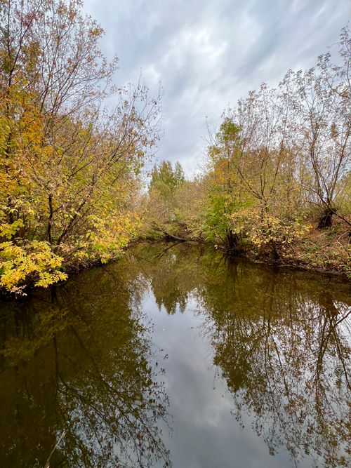 Free Serene river reflection surrounded by vibrant autumn foliage under cloudy skies. Stock Photo