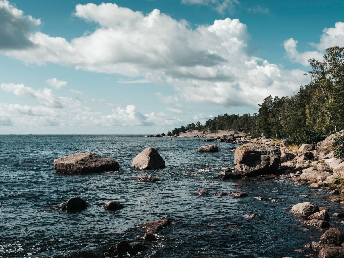 15 Day Restorative Digital Detox Nature Retreat in Finland 2