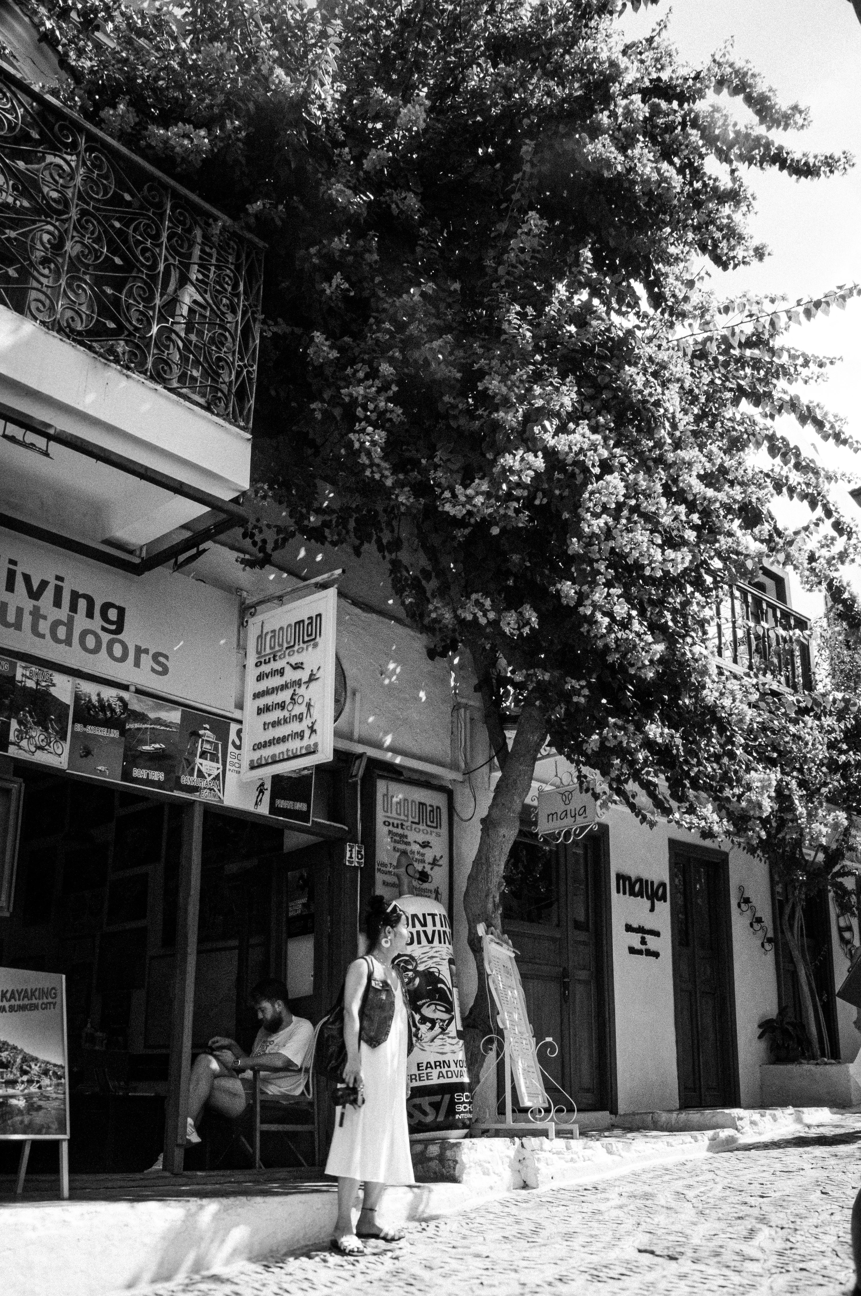 Charming Black and White Street Scene with Vibrant Tree · Free Stock Photo