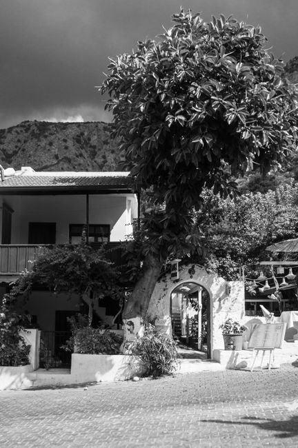 Black and white photo of a quiet Mediterranean village street with lush vegetation.