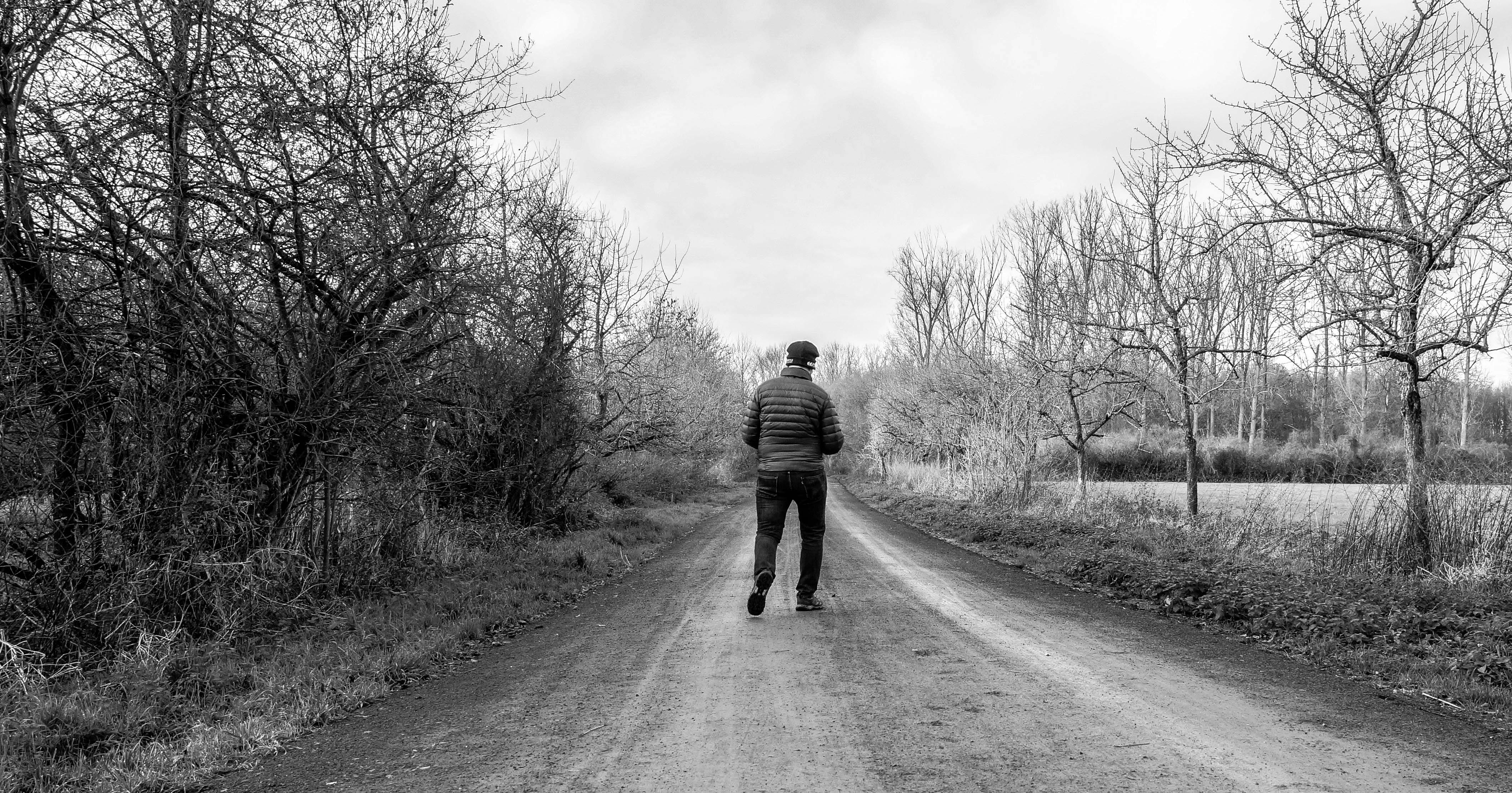 serene walk on a countryside path in winter