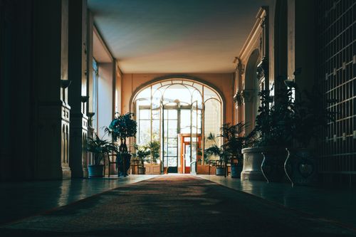Free A tranquil indoor hallway adorned with plants, bathes in soft natural light. Stock Photo