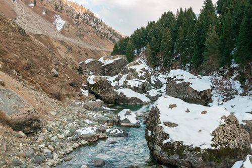 Free Scenic winter landscape of snowy rocks and pine trees at Minimarg. Stock Photo