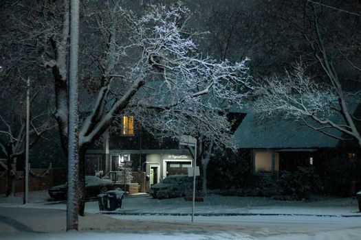 A serene winter night scene with snow-covered trees and houses in Toronto, Canada.
