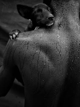 A touching black and white image of a dog resting on a person's shoulder.