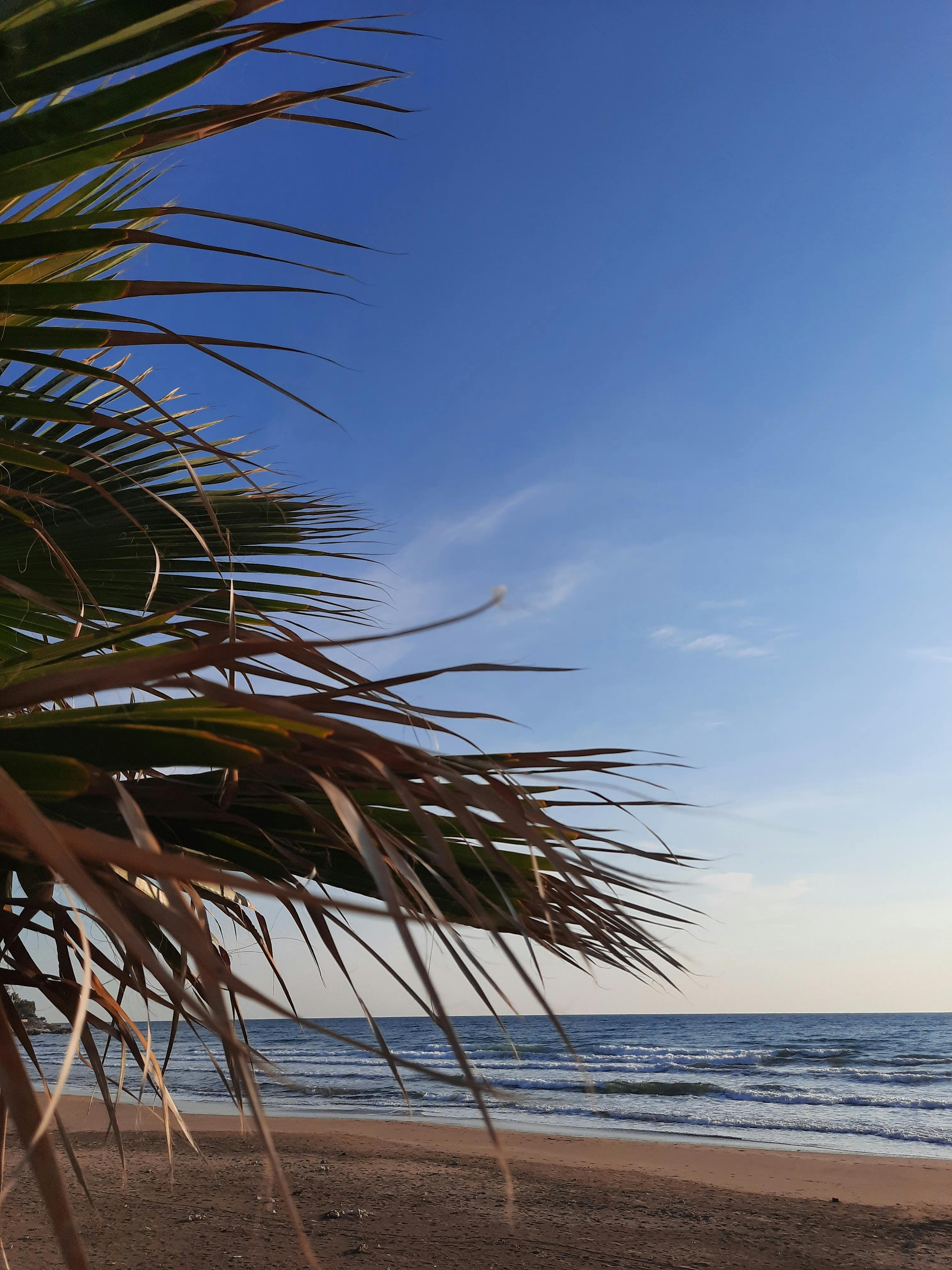 Retreat Photos, Download The BEST Free