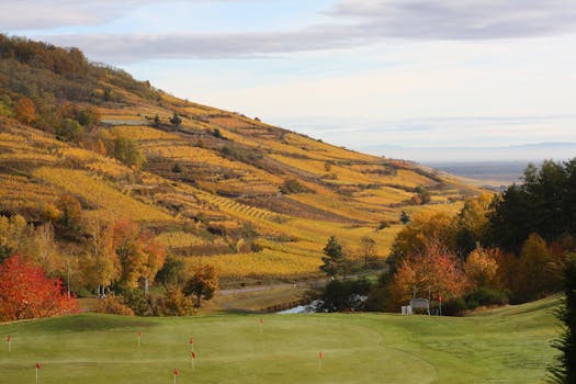 Scenic view of autumn vineyard hills and a golf course under a bright sky.