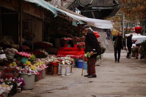 Free An elderly man buying flowers at an outdoor flower market on a bustling street. Stock Photo