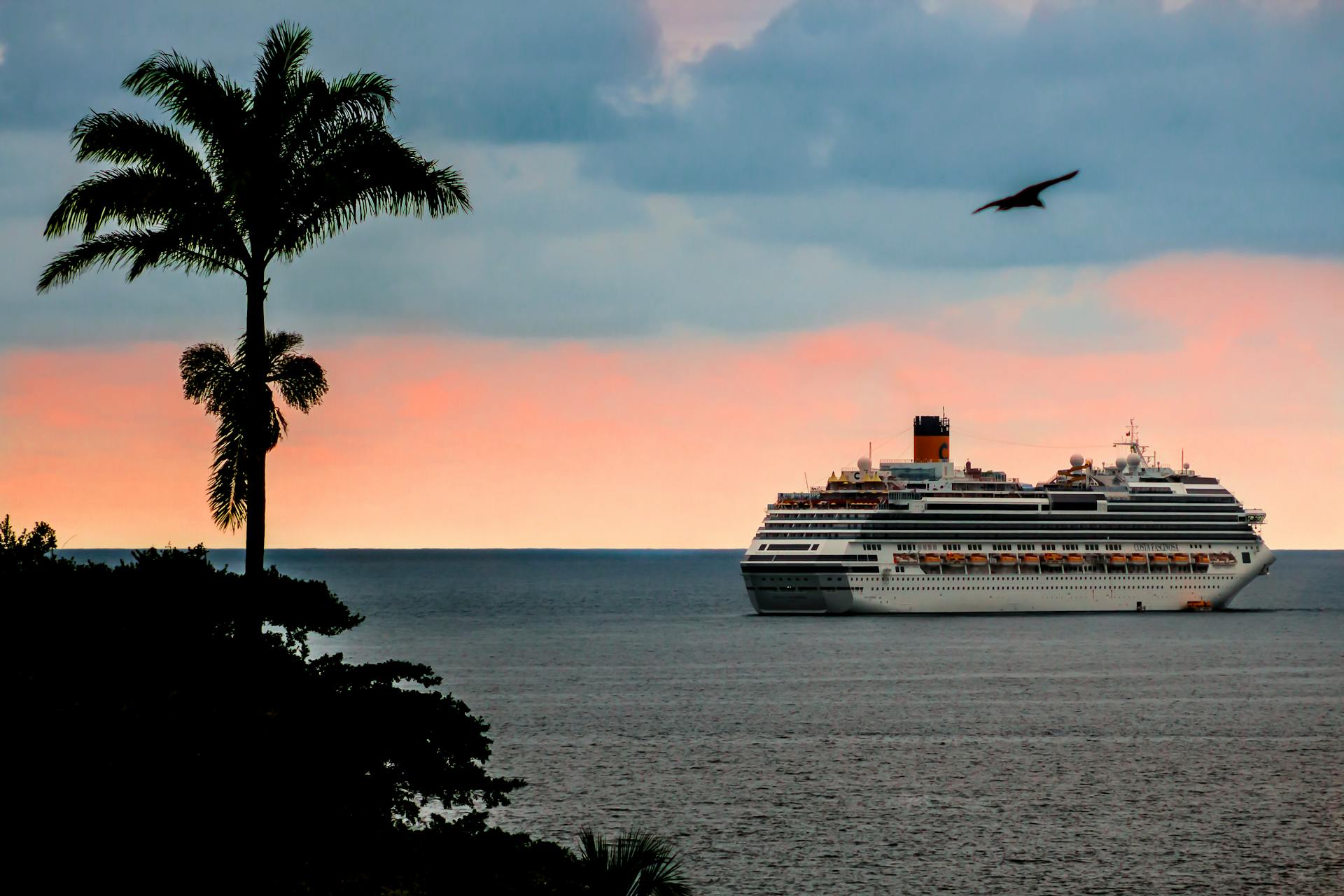 A cruise ship sails at sunset near a palm tree with a vibrant sky and calm ocean.
