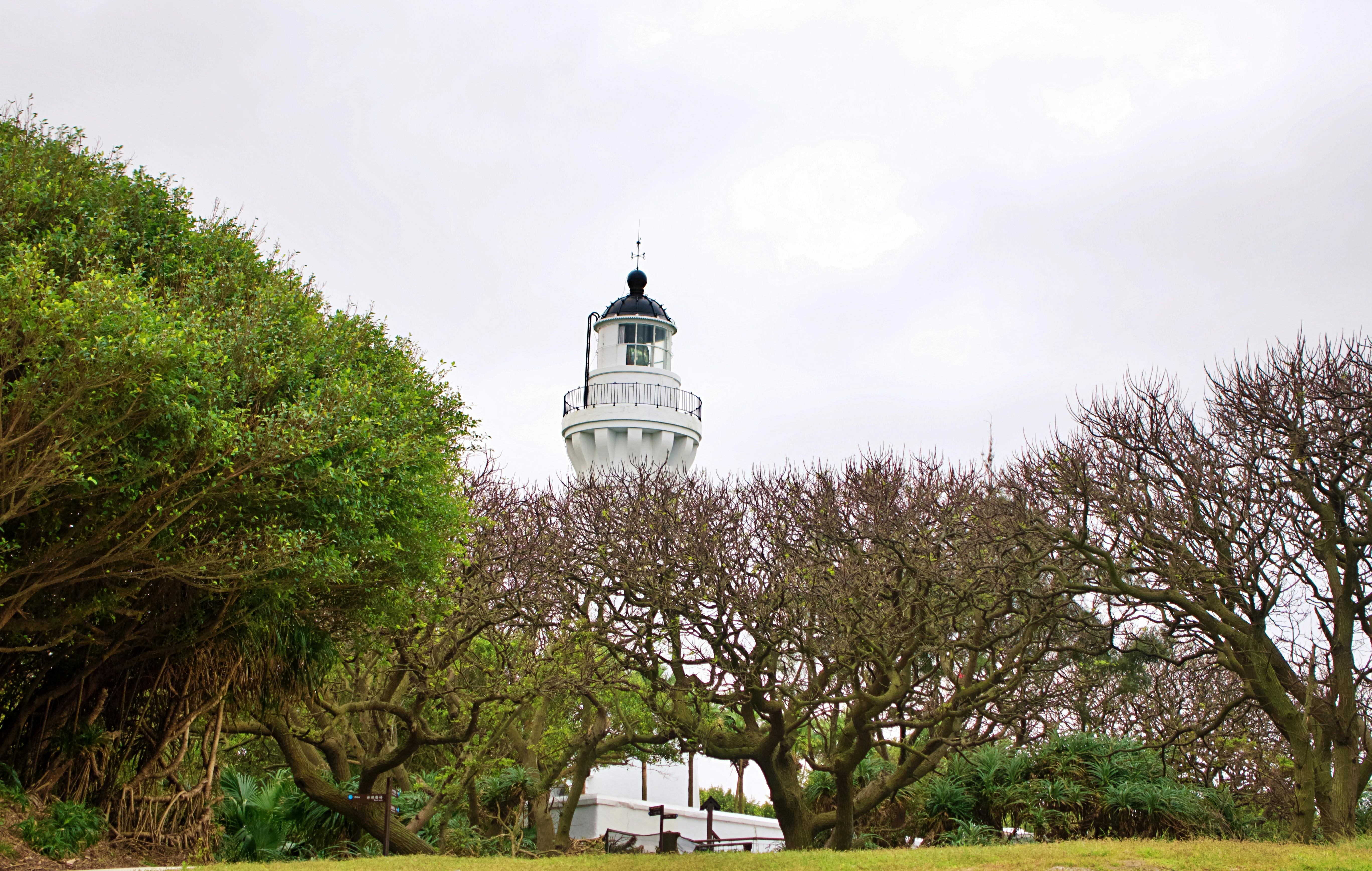 國防：2026年日本眾議院選舉對台海局勢與台日關係的深遠影響