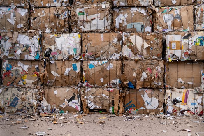 Bales of recycled cardboard ready for processing