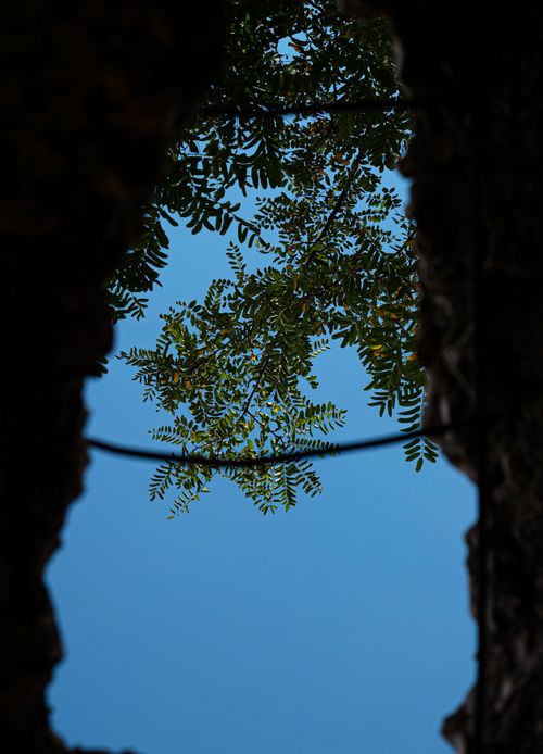 Free Branches and leaves seen through a natural rock frame against a clear blue sky. Stock Photo