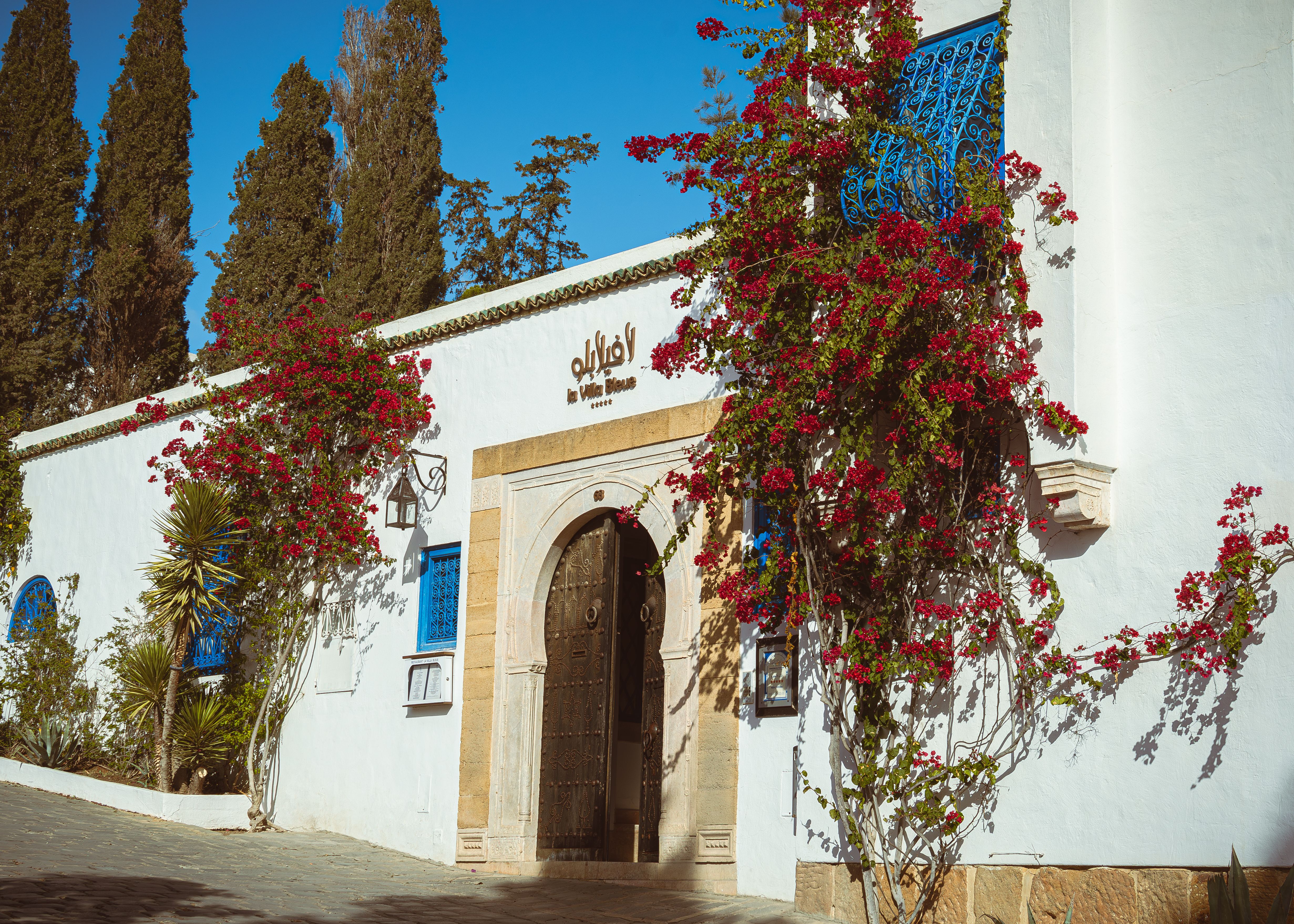 Beautiful traditional Tunisian building facade with vibrant bougainvillea blooms in Carthage.