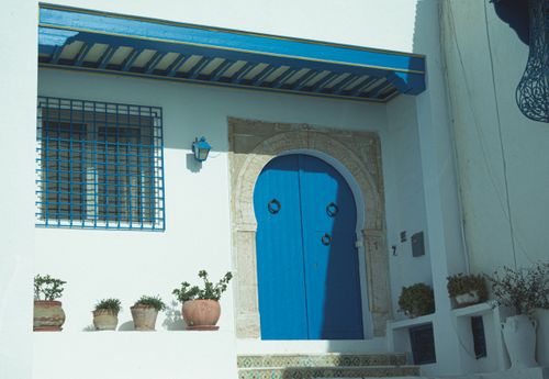 Free Charming blue arched door with potted plants in Carthage, Tunisia. Stock Photo