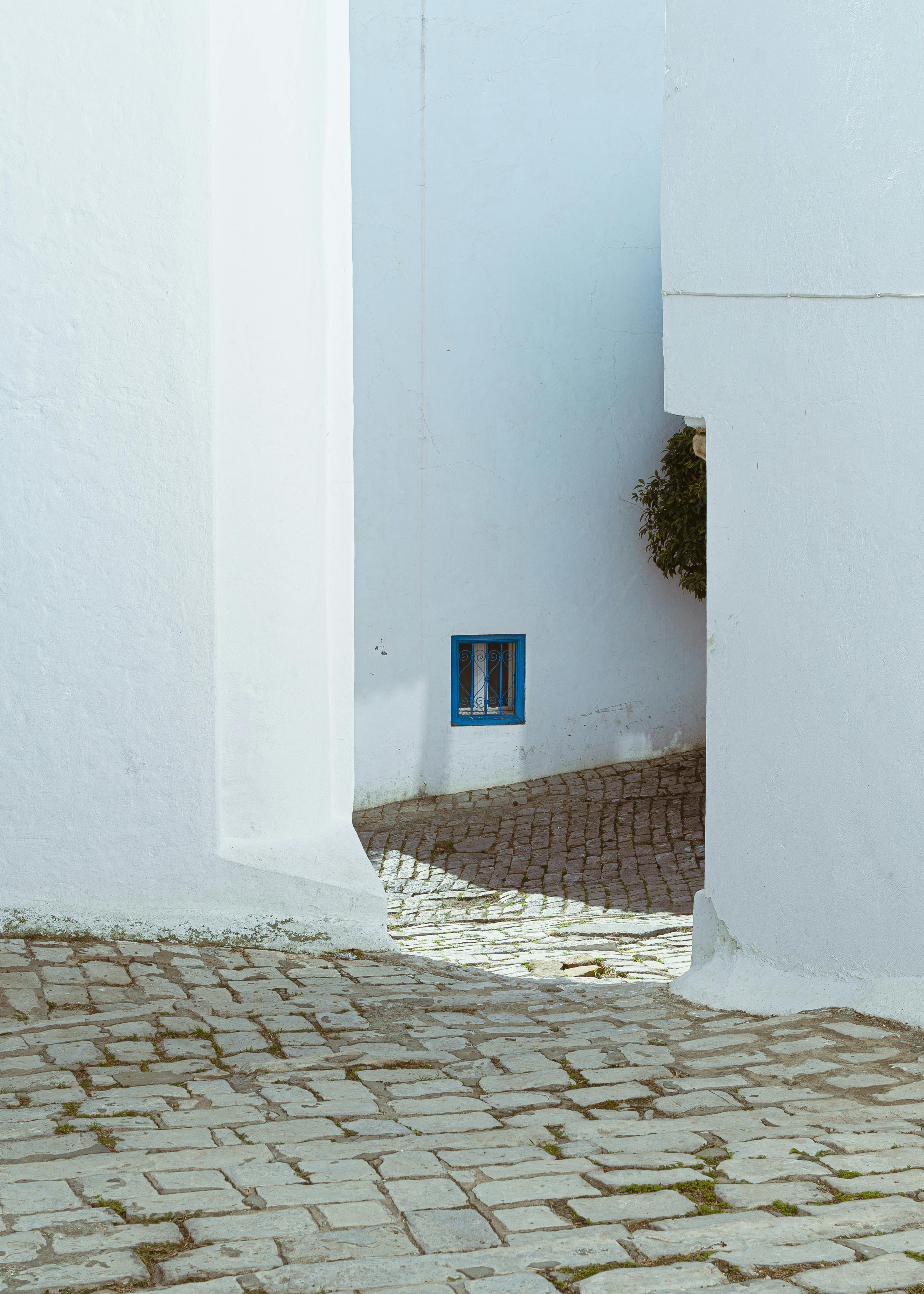 gratis Pittoresk witgekalkt steegje met geplaveide paden in Carthago, Tunesië. Stockfoto