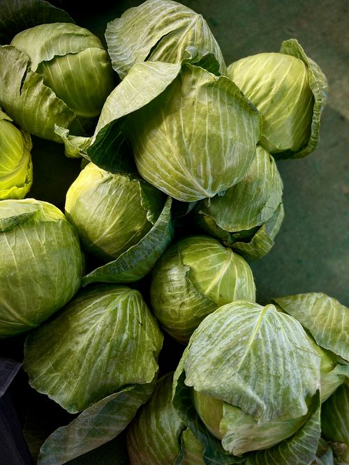 Free Close-up of fresh green cabbage heads at a market, highlighting texture. Stock Photo