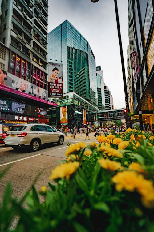 Ingyenes stockfotó életmód, emberek, hongkong témában