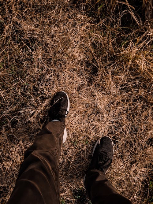 Free stock photo of alone, walking