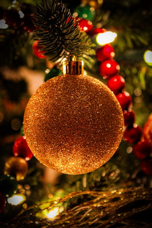 Free Close-up of a glittering gold ornament hanging from a festive Christmas tree. Stock Photo
