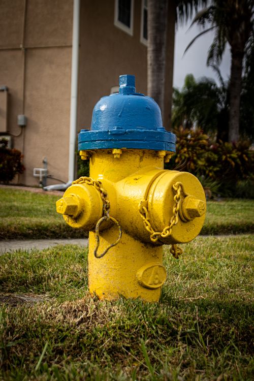 Free Vibrant yellow and blue fire hydrant in Winter Springs, Florida suburb. Stock Photo