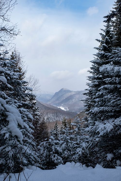 Début d'une journée d'hiver - Galerie Douce Passion Début d'une journée d'hiver - Galerie Douce Passion