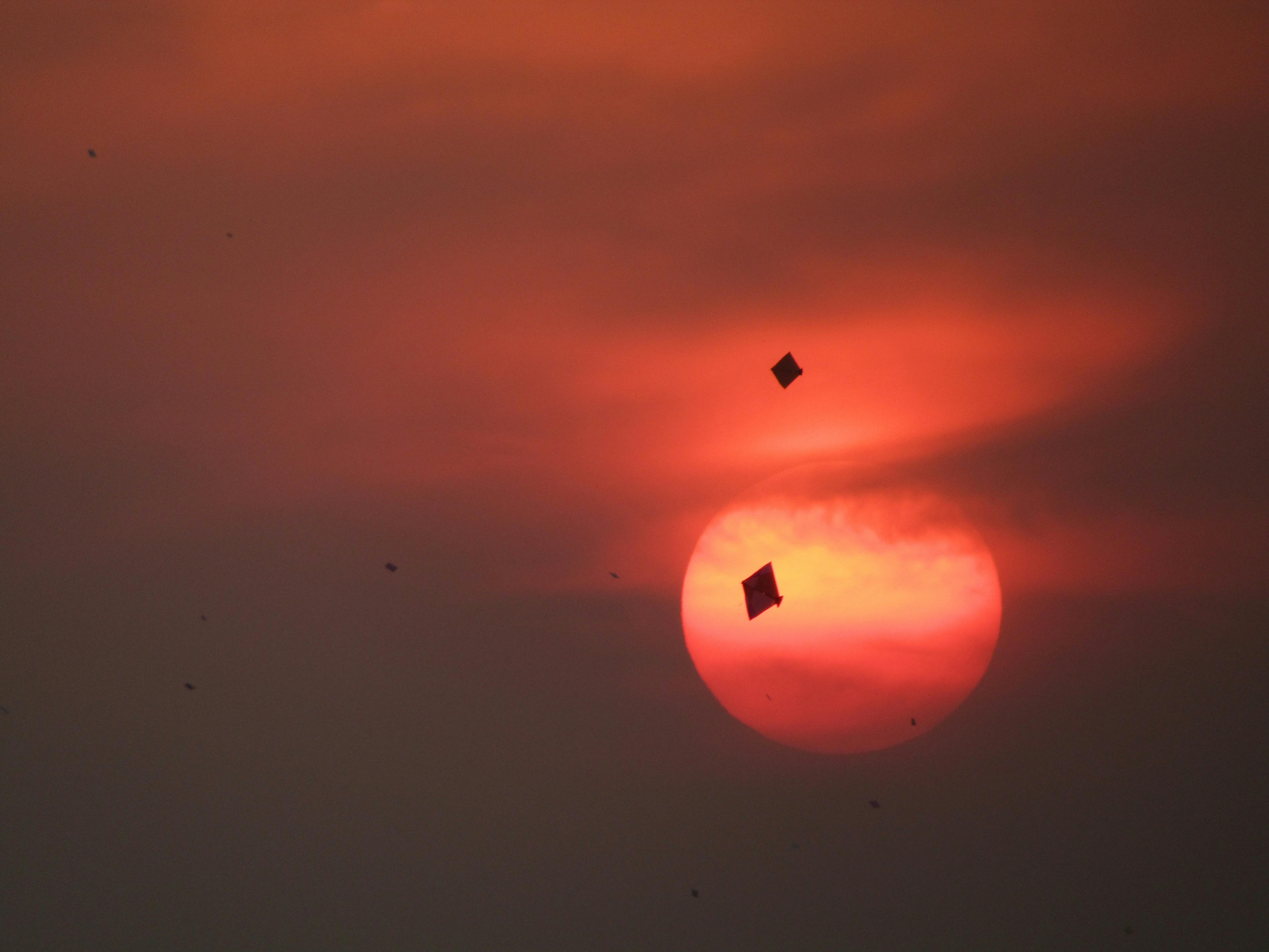 Free stock photo of kite, sunset