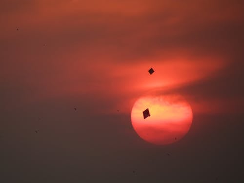 Free stock photo of kite, sunset