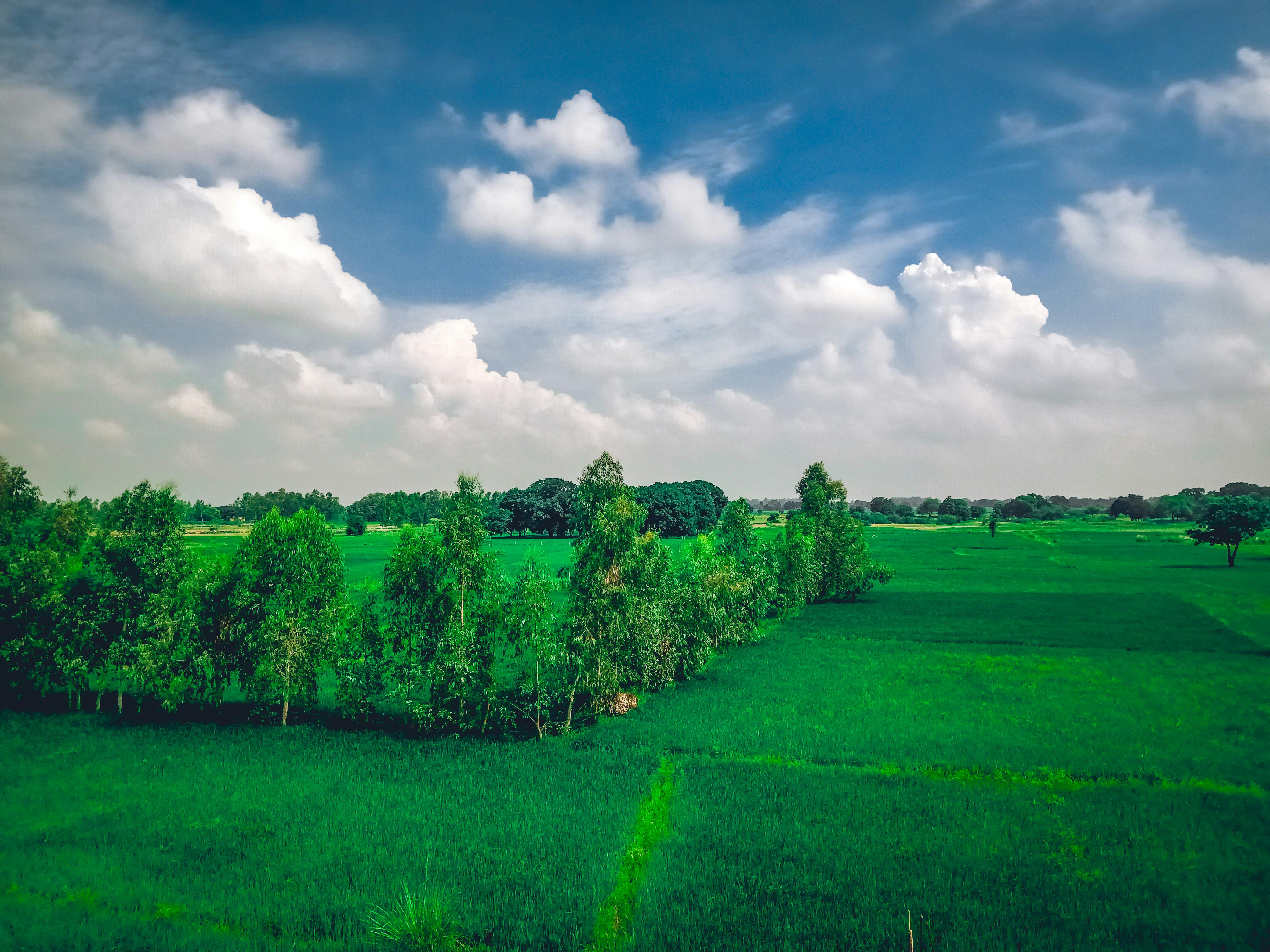 Foto Stok Gratis Tentang Pemandangan Indah