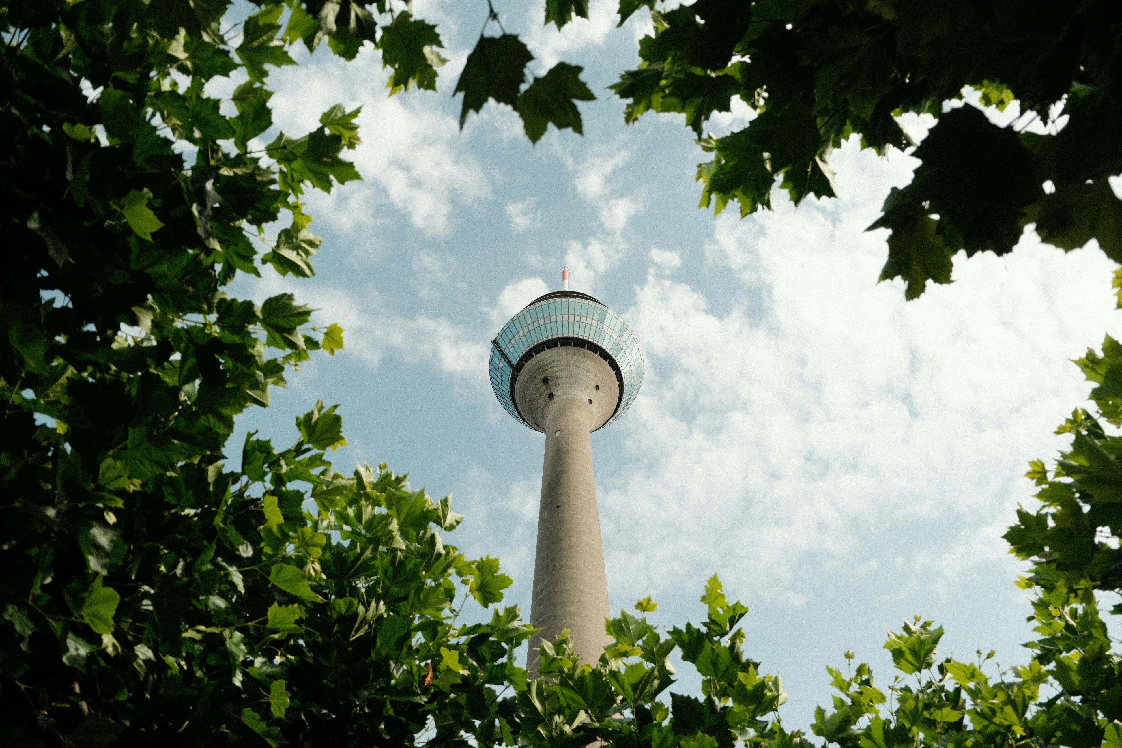 rheinturm tower framed by greenery in dusseldorf