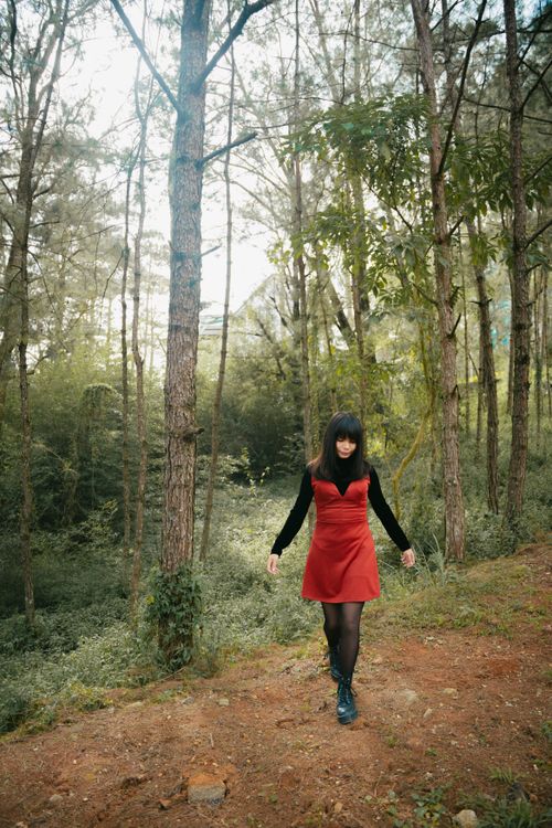 Free A woman in a red dress strolls through a serene forest setting, capturing nature's tranquility. Stock Photo