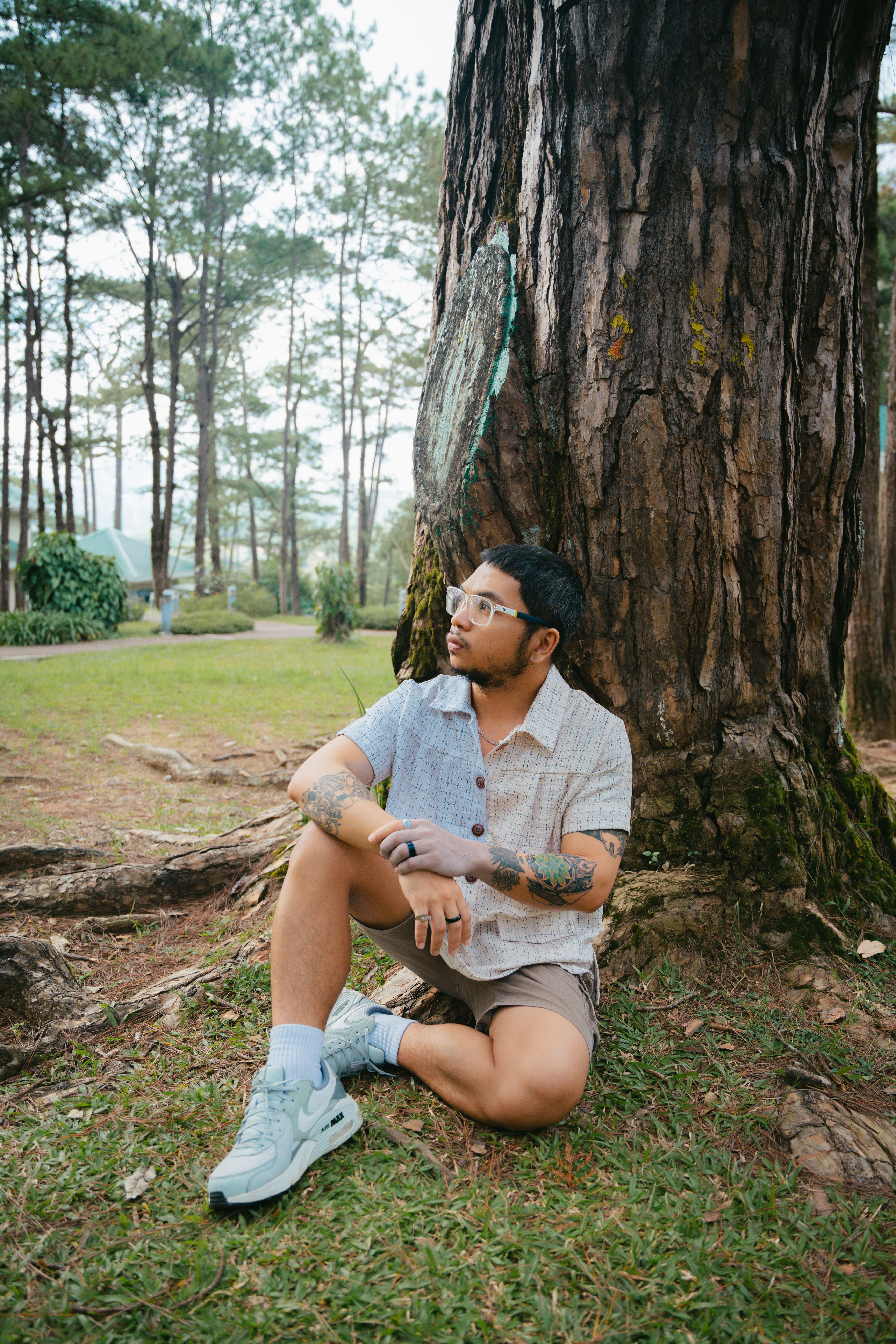 Man Sitting Under Tree in Peaceful Forest · Free Stock Photo
