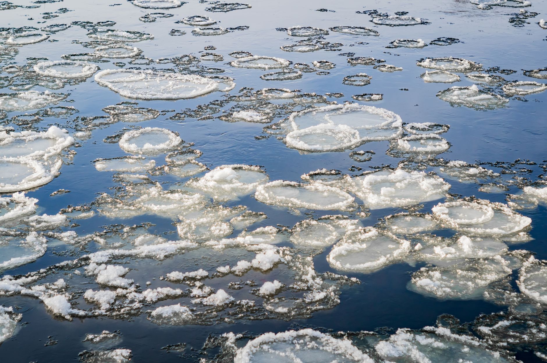 What Climate Change Is Really Doing to Our Oceans