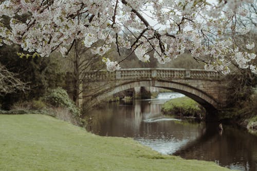 Bridge over River